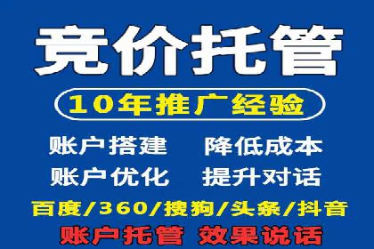 百度推广在电商行业的应用案例